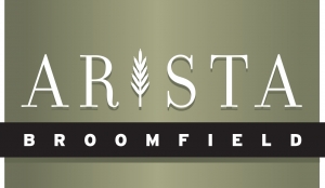 FINAL Arista logo